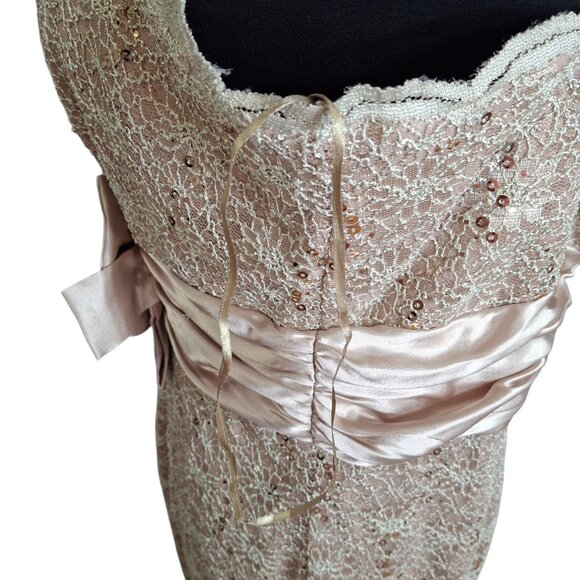 R&M Richards PLUS 14W EMPIRE Stretch Lace Satin Cocktail Party Dress Champagne - Picture 10 of 16